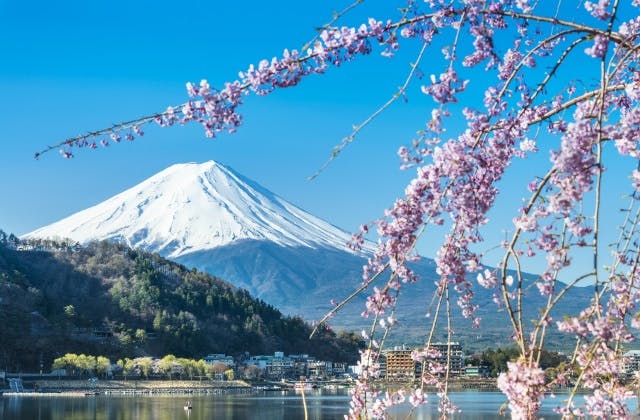 Cheap Flights to Tokyo From $427 in 2022, 2023
